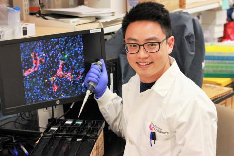 Simon Lam